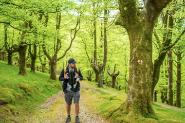 Sarı sırt çantalı genç bir baba yeni doğmuş çocukla birlikte ormanda bir patikada ailesiyle pikniğe gidiyor.