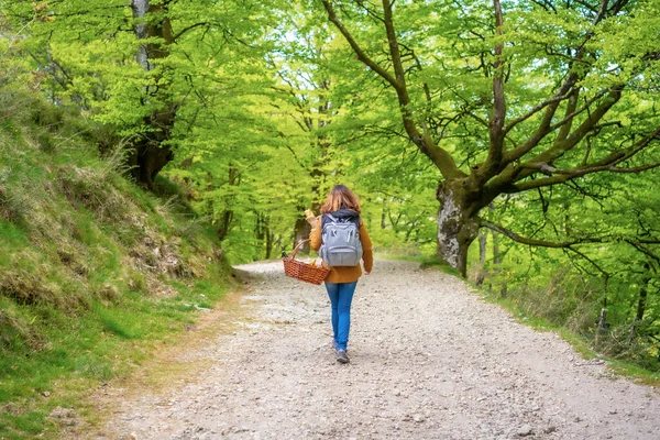 Young Caucasian Brunette Walking Path Basket Heading Picnic Her Family — Stock Photo, Image