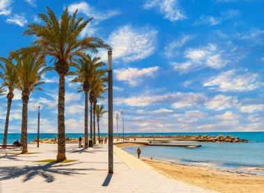 Torrevieja, Alicante, Valensiyalı cemaatinde palmiye ağaçları olan bir plaj. İspanya, Akdeniz