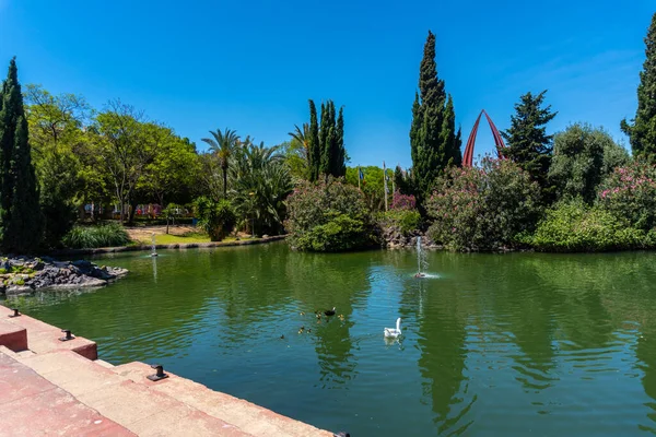 Hermoso Lago Centro Ciudad Parque Las Naciones Ciudad Torrevieja Alicante —  Fotos de Stock