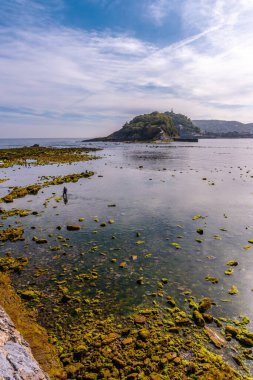 San Sebastian 'daki Ondarreta sahilindeki deniz bitkileri ve arka plandaki ada. Gipuzkoa Eyaleti, Bask Bölgesi. İspanya