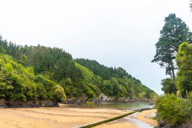 Cantabrian Denizi 'nde Biscay Körfezi, Lekeitio yakınlarındaki Ea belediyesinin plajı. Bask Ülkesi