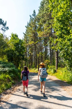 Urdaibai yolunda yürüyen iki arkadaş, Mundaka 'nın yanındaki Bizkaia biyosfer rezervi. Bask Ülkesi