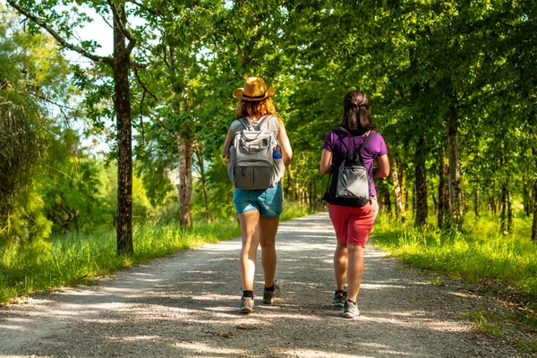 Urdaibai bataklıklarında ağaçlar arasında yürüyen iki arkadaş, Mundaka 'nın yanındaki Bizkaia biyosfer rezervi. Bask Ülkesi