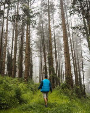 Sisli ormanda mavi ceketli genç bir adam yürüyor. Ispaster 'dan Lekeitio' ya giden yolda, tuhaf manzaralar. Bask Ülkesi