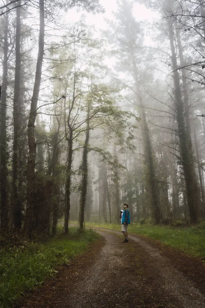 Jovem Caminhando Com Seu Filho Floresta Nebulosa Primavera Caminho Ispaster — Fotografia de Stock