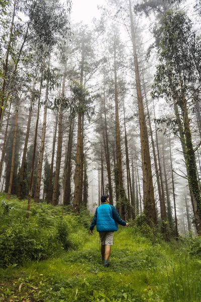 Young Man Walking Blue Jacket Foggy Forest Spring Path Ispaster — Stock Photo, Image