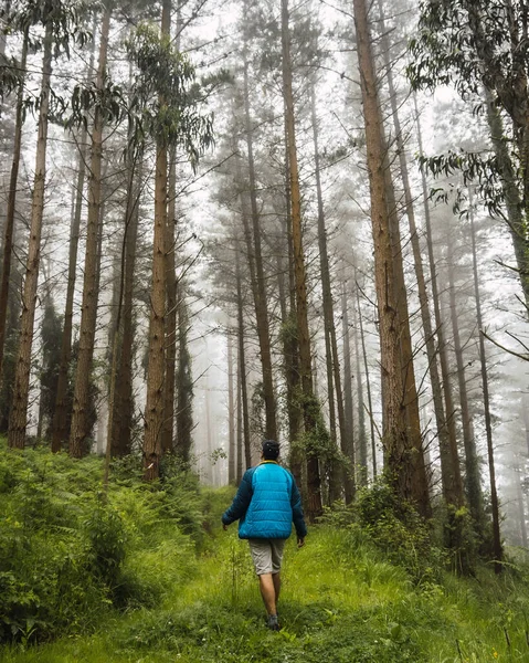 Sisli ormanda mavi ceketli genç bir adam yürüyor. Ispaster 'dan Lekeitio' ya giden yolda, tuhaf manzaralar. Bask Ülkesi