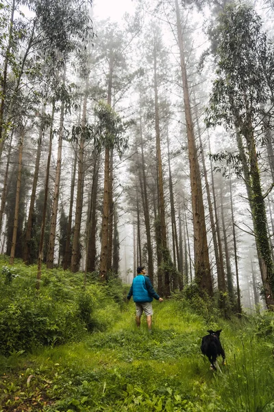 Jovem Andar Casaco Azul Com Cão Floresta Nebulosa Primavera Caminho — Fotografia de Stock