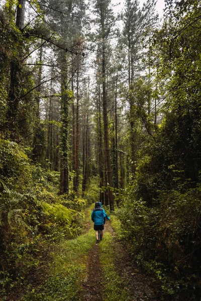 Dois Caminhantes Capas Impermeáveis Caminhando Por Uma Floresta Chuva Primavera — Fotografia de Stock