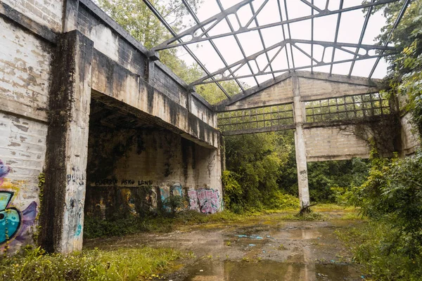 Abandoned Factory Forest Spring Road Ispaster Lekeitio Landscapes Bizkaia Basque — Stock Photo, Image