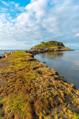 Lekeitio, Bask Bölgesi 'ndeki Isuntza sahilinden San Nicolas Adası' na giderken. Biscay Körfezi. İspanya