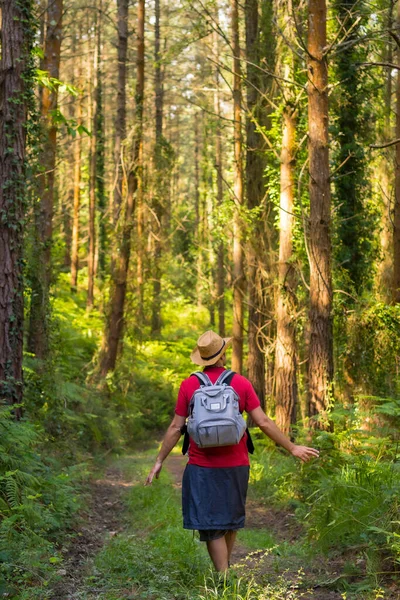 A young traveler with his back turned with a hat and looking at the forest pines, hiker lifestyle concept, copy and paste space, forests of the Basque country. Spain