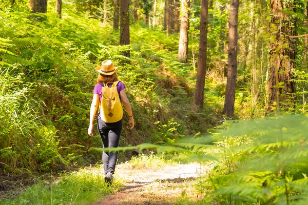 Sarı Sırt Çantasıyla Ormanda Yürüyen Genç Bir Kadın Yürüyüş Yaşam — Stok fotoğraf
