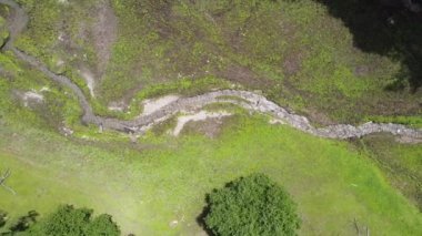 Çam ağaçlarının yanındaki güzel bir gölde biten nehir manzarası. Navarra 'nın yanındaki Bask Ülkesi' nin inanılmaz manzarası..