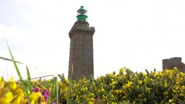 Yazın Phare Du Cap Frehel 'de bulunan değerli çiçekler Cotes de Armor' da (Fransa) bir deniz feneridir. Kaptan Frehel 'in ucunda.