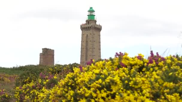 Cestování Krásných Květinách Létě Phare Cap Frehel Námořní Maják Cotes — Stock video