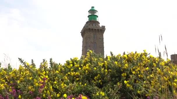 夏の美しい花の中を旅するPhare Cap Frehelは コート アーマー フランス の海洋灯台です キャップ フレエルの先で — ストック動画