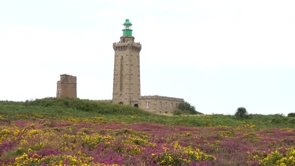 Viajando Las Hermosas Flores Verano Phare Cap Frehel Faro Marítimo — Vídeos de Stock