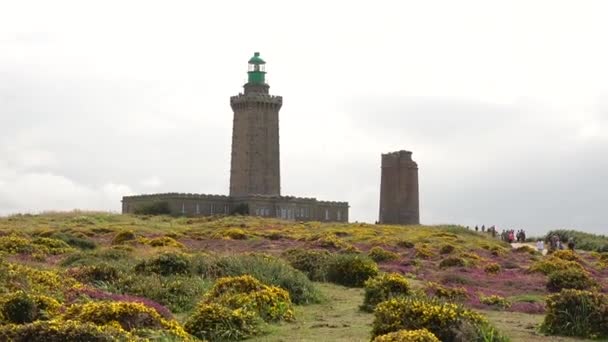 Precious Flowers Summer Phare Cap Frehel Maritime Lighthouse Cotes Armor — Stockvideo