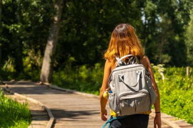 Fransa 'nın Niort kenti yakınlarındaki Yeşil Venedik' te La Garette ve Coulon arasında yaya geçidi boyunca yürüyen genç bir kadın.