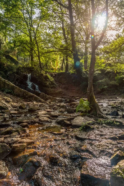 Vodopád Arbre Broceliandském Lese Francouzský Mystický Les Nacházející Departementu Ille — Stock fotografie