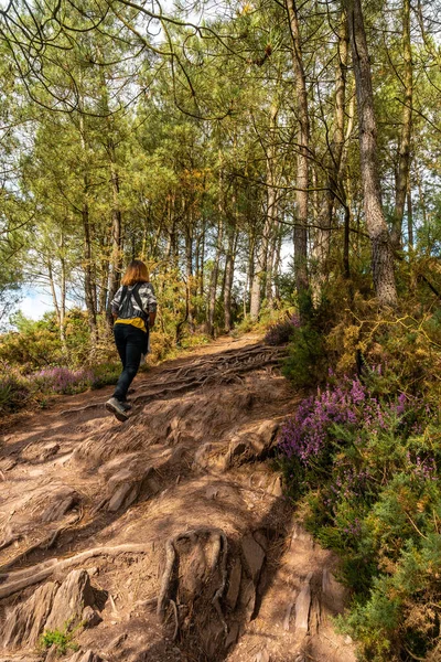 Młoda Kobieta Szlaku Lesie Broceliande Francuski Mistyczny Las Położony Departamencie — Zdjęcie stockowe