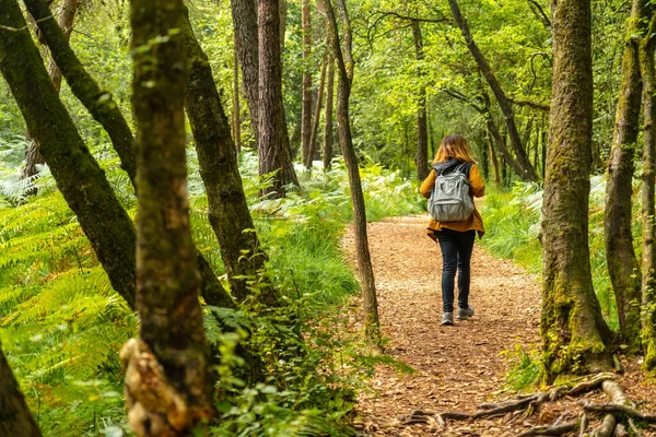 Young Woman Trekking Lake Paimpont Broceliande Forest Ille Vilaine Department — Stock Photo, Image