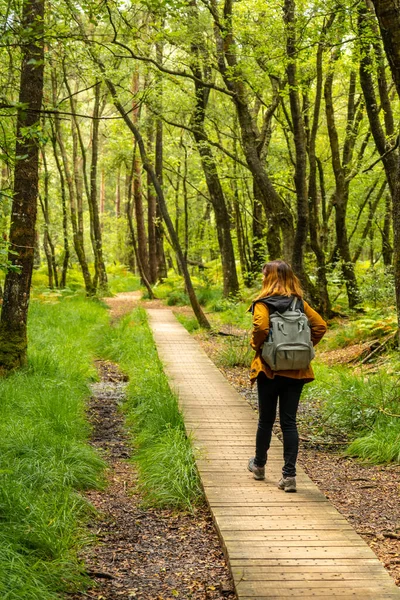 Młoda Dziewczyna Drewnianej Ścieżce Nad Jeziorem Paimpont Lesie Broceliande Departament — Zdjęcie stockowe