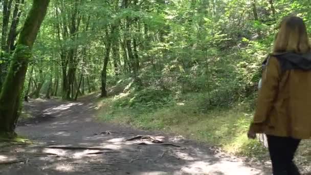 ブルターニュのイル ヴィレーヌ県レンヌ近郊にあるフランスの神秘的な森 ブロチェリアンデの森の歩道上の若い女性 フランス — ストック動画