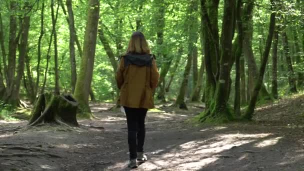 Ung Kvinde Stien Langs Gangbro Mellem Garette Coulon Marais Poitevin – Stock-video