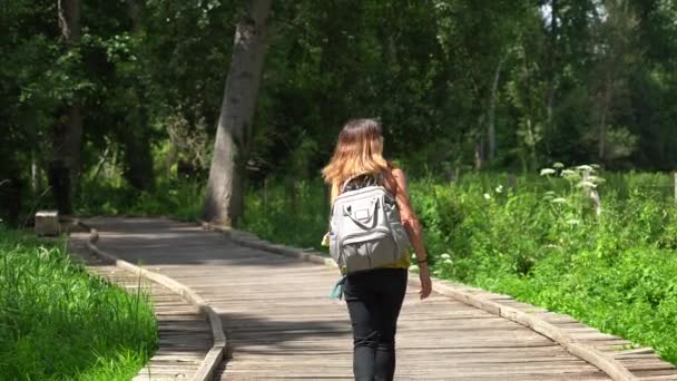 Ung Kvinne Stien Langs Gangbro Mellom Garette Coulon Marais Poitevin – stockvideo