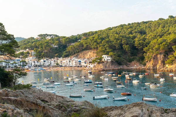 Playa Tamariu Ciudad Palafrugell Atardecer Verano Girona Costa Brava Mediterráneo — Foto de Stock