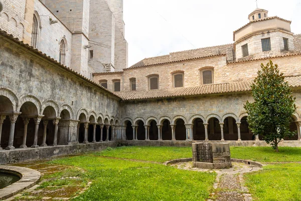 Girona Città Medievale Bellissimo Cortile Della Cattedrale Costa Brava Della — Foto Stock