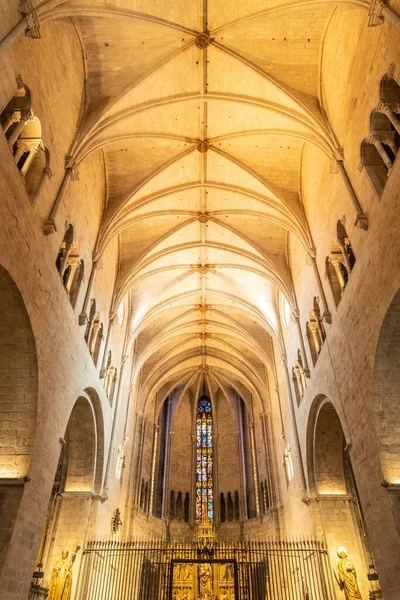 Girona Medeltida Stad Tak Och Pelare Det Inre Basilikan San — Stockfoto