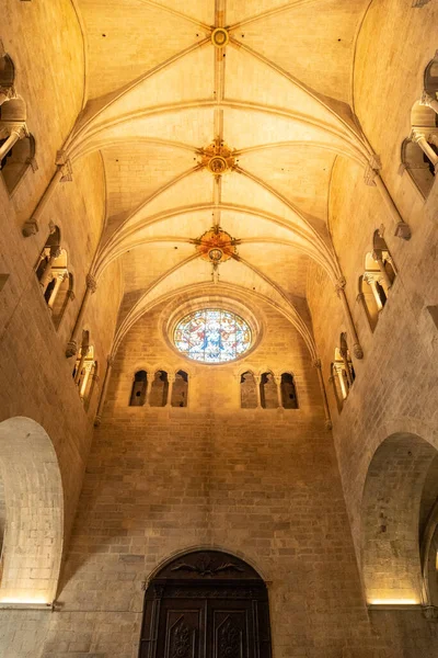 Girona Città Medievale Tetti Colonne Dell Interno Della Basilica San — Foto Stock