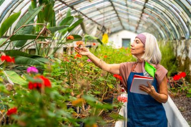 Önlük takan yaşlı bir kadın ve elinde bir defter olan bandana eski bir seradaki canlı yaprakları incelerken bir çiçeğe hafifçe dokunuyor.