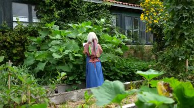 Teraslı sebze bahçesinde yürüyen beyaz saçlı olgun bir kadın. Bitkileri dikkatlice inceleyip defterine gözlemler yazıyor. Botanik ve tarım okuyor.