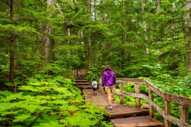 Anne ve oğlu yemyeşil yemyeşil ve yüksek sedir ağaçlarıyla çevrili dev sedir kaldırımları boyunca sakin bir yürüyüş yapıyorlar.