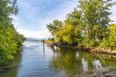 Huzurlu bir sabah manzarası sakin bir iskele içine uzanan sessiz shuswap gölü, yemyeşil ağaçlar ile çevrili ve somon kolunda sakin su yansıtan, İngiliz Kolombiya