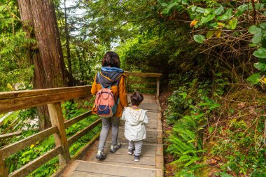 Anne ve oğlu yemyeşil yağmur ormanlarında tahta basamaklarda yürüyor, Tofino, Vancouver Adası 'nda doğa ve temiz havanın tadını çıkarıyor, İngiliz Kolombiyası, Kanada