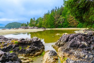 Britanya Kolombiyası, Kanada 'da Vancouver Adası' nın batı kıyısında bulunan Tofino 'daki Mackenzie Sahili' nde ağaçları ve gökyüzünü yansıtan sakin yeşil su huzurlu bir doğal manzara yaratıyor.