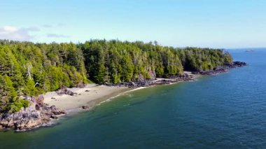Tofino yakınlarındaki kayalık Pasifik Okyanus kıyılarıyla birleşen yeşil kozalaklı ormanı yakalayan hava aracı Vancouver Adası 'nın el değmemiş vahşi doğasını ortaya çıkarıyor.