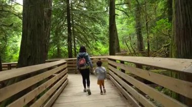 Anne ve oğlu, Vancouver Adası 'ndaki Katedral Korusu doğa parkının yüksek ağaçlarıyla çevrili ahşap bir tahta kaldırım boyunca sakin bir gezinti yapıyorlar.