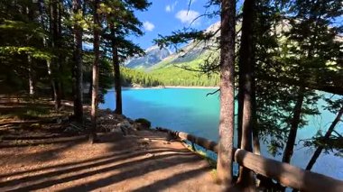 Güneş ışığı ağaçların arasından süzülür turkuaz göl kıyısına, minnewanka, Kanada kayalıklarında Banff ulusal parkının engebeli dağlarının arasına yerleşir.