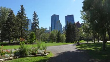 Verdant Calgary 'nin merkez anıt parkı gökdelenler arasında yuva yapmış, bereketli yeşillik ve şehir merkezine karşı canlı çiçek tarlaları sunan sakin şehir manzarası