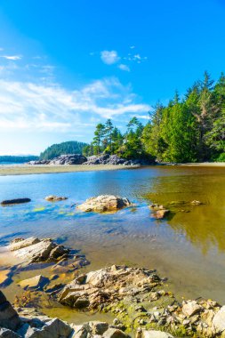 Kristal berrak körfez suyu, canlı yaz gökyüzünü yansıtıyor. Tofino 'da güzel bir manzara yaratıyor. Vancouver Adası' nda büyüleyici bir sahil kasabası.