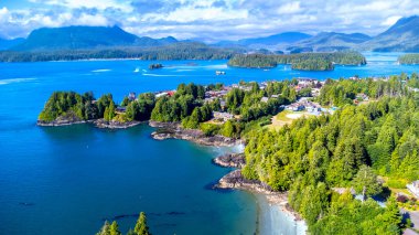 Tofino 'nun nefes kesici hava manzarası, Vancouver Adası' ndaki büyüleyici bir kasaba, büyüleyici sahil şeridini, yemyeşil ormanlarını, ve bir yaz gününde canlı mavi clayoquot sularını yakalıyor.