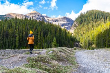 Sonbaharda Banff Ulusal Parkı 'ndaki Kanadalı kayalıkların göz kamaştırıcı manzarasına hayran kalarak, şelale yolunda yürüyen kadın yürüyüşçü.