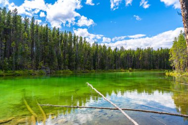 Herbert Gölü 'nün zümrüt yeşili suları Banff Ulusal Parkı' nda bulutlu bir gökyüzünün altındaki ormanı yansıtıyor. Kanada kayalıkları, alberta, Kanada sakin ve pitoresk bir manzara yaratıyor.